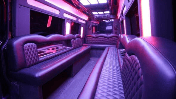 10 Passenger Sprinter Party Bus Interior